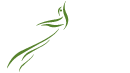 IntoPositive