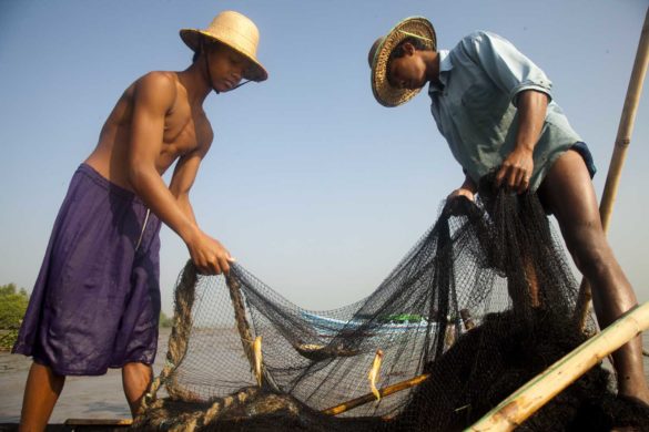 Fisherman’s are fishing on river near Ka Zin Chaung village, Bogale, Delta on 10 February 2012 Bogale, Yangon Region, Burma. Most of the fisherman in this area was lost there boat and net for fishing by cyclone NARGIS in 2008. Fishermen’s are got financial support from Oxfam Novib for new boat and fishing net.